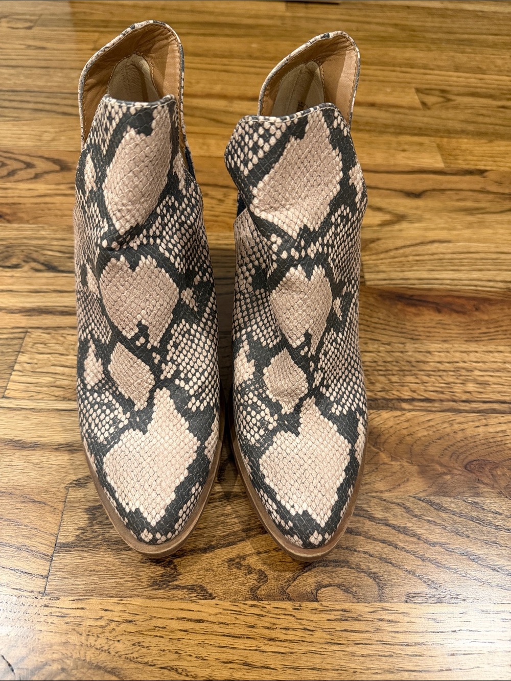 Steve Madden Snake-Print Black & Tan Ankle Booties